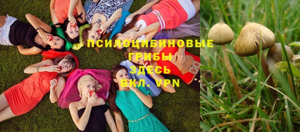 синтетический гашиш Алексеевка